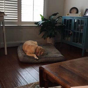 Meet your Posher, Barbara